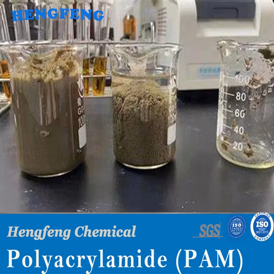 PAM Polyacrylamide Cheap Best Price of Anionic Polyacrylamide for Sale
